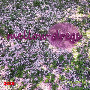 mellow dregs