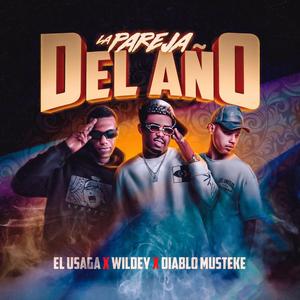La Pareja Del Año (feat. Wildey & El Usaga)