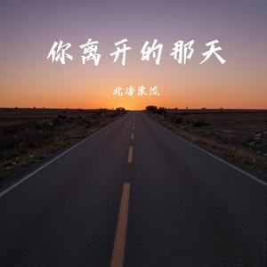 你离开的那天