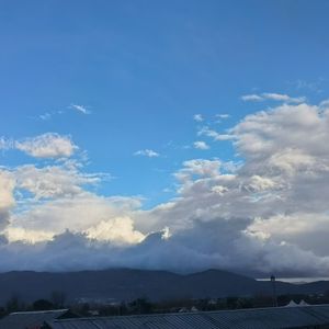 星月夜下的孤独旅程