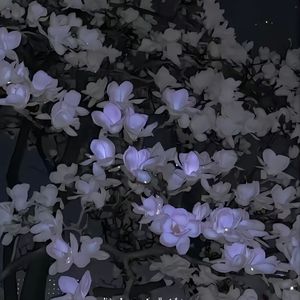 夏天的声音Prod by RYUU