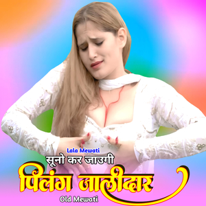 सूनो कर जाउगी पिलंग जालीदार ओल्ड मेवाती