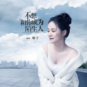 不想和你成为陌生人 (DJ何鹏版)