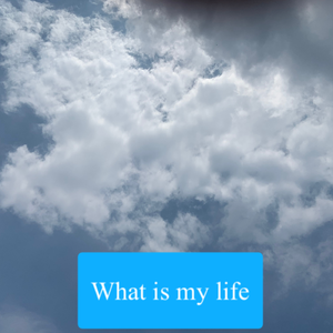 What's my life