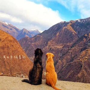 我不是一定要你回来（翻自 徐佳莹）