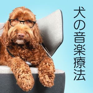雷が怖い犬用音楽