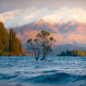 体面-杨大大 完整版