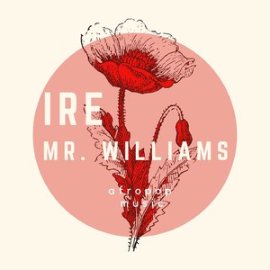 Mr. Williams