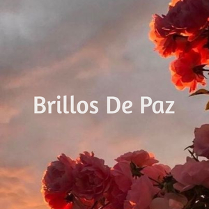 Brillos De Paz