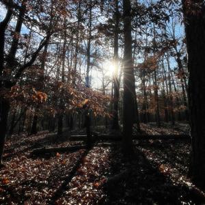 smths wrong i can tell