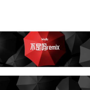 也许他们是对的（不是吗remix）