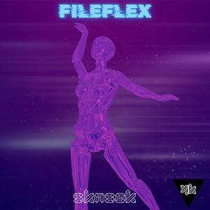 Fileflex
