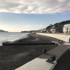 还整这么个头型 (DJ版)