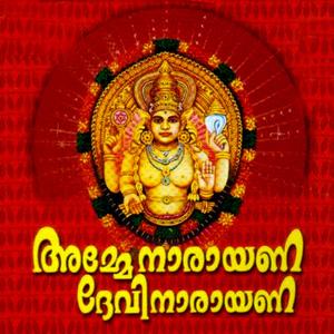 Kaavil Thozhuthunarum