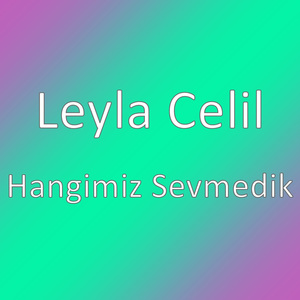 Hangimiz Sevmedik