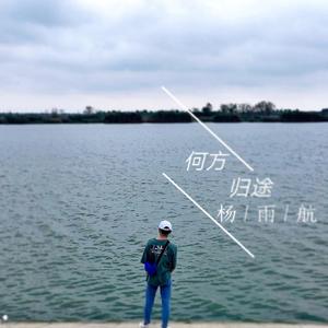 何方归途（wav）