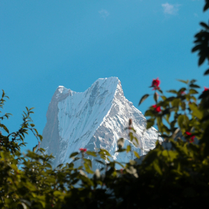 弹宇宙给你听.wav