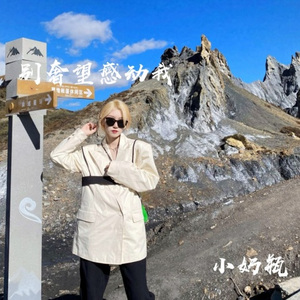 东北神调 (DJ版)