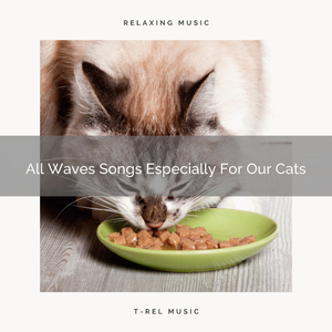 Stress Relieving Sea Songs Especially For Dearest Cats