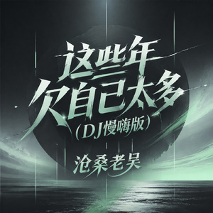 这些年欠自己太多(DJ慢嗨版)