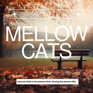 Quiet Contours on Sunlit Shadows