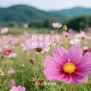 格桑花  (等格桑花开) (Cover 陳鴨梨Charlie)