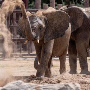 Fading Constellations