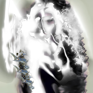 when wings dissolve