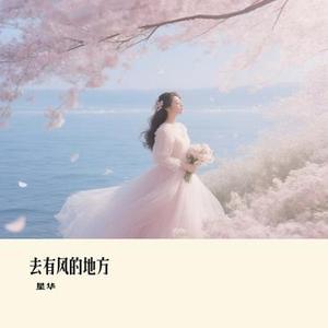 半秒如果 (星华 Remix)