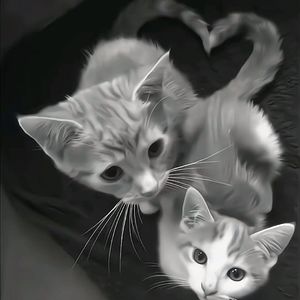 灯烛摇曳的静谧夜