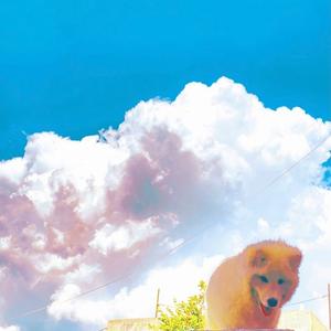 阳 (Prod.by bbbluelee)