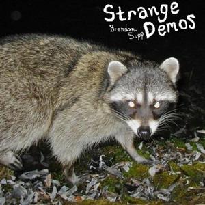 I'm a Racoon (Mess up)