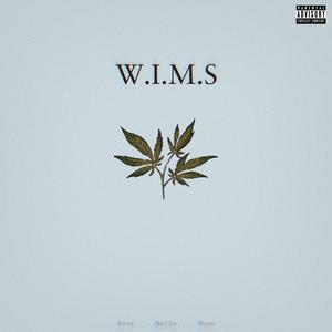 W.I.M.S. (feat. Andrew Kelly & Fuze)