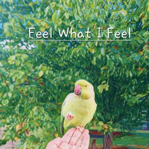 Feel What I Feel (feat. K1T)