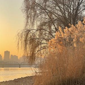 Jony J-没你也能活下去（cover：姜铭杨）