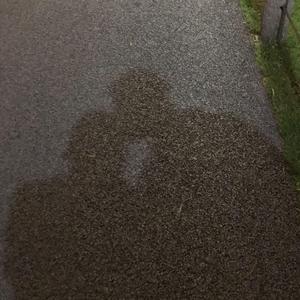 Nepeeuuu （Prod By ATTBeat）