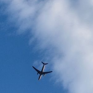 多情的打扰（翻自 任夏）