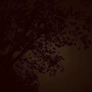 FORGET【忘】