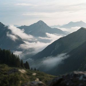 怎么好像有一阵风