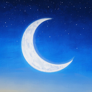 la curvita habladora