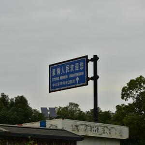 假动作_翻唱