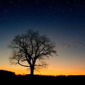 星辰诗歌（安静舒缓钢琴曲）