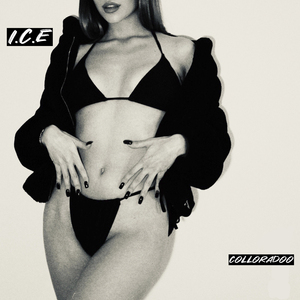 I.C.E