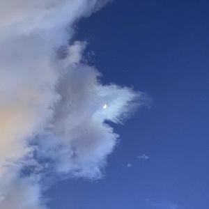 这世界挺可笑的