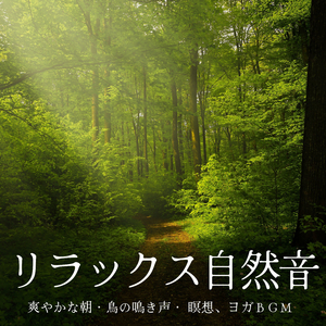 朝の気持ちいいヨガ音楽