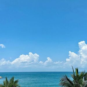 记忆残片