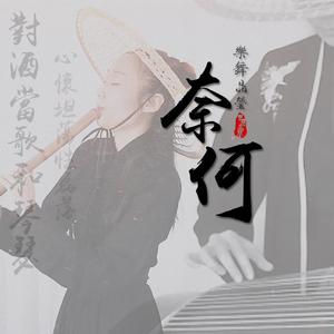 【樂舞晶瑩】奈何(箫&筝&鼓)