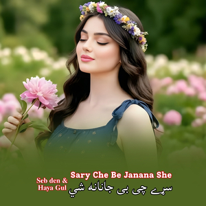 Sary Che Be Janana She