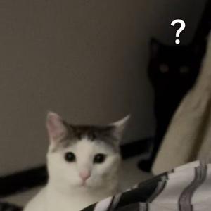 爱情讯息-郭静（钢琴版）