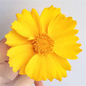 彩虹天堂（Cover 刘畊宏）